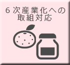 ６次産業化への取組対応